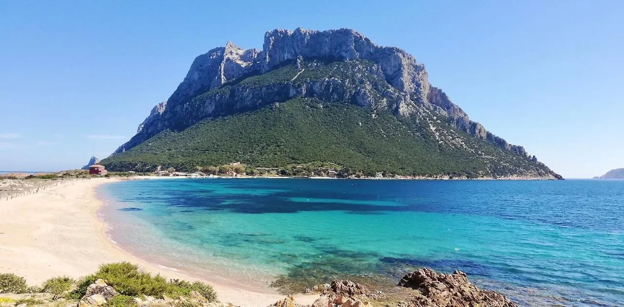 Iss Travel, Molly'S Garden - 2-Bedroom Apartment With Air-Condition San Teodoro  Villa San Teodoro (Sardinia)